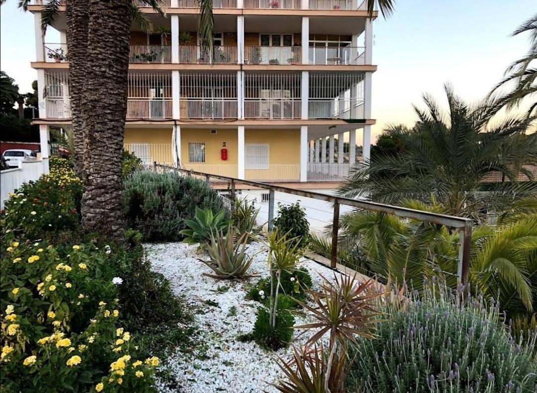 Homestay Miniloft En La Playa Alicante